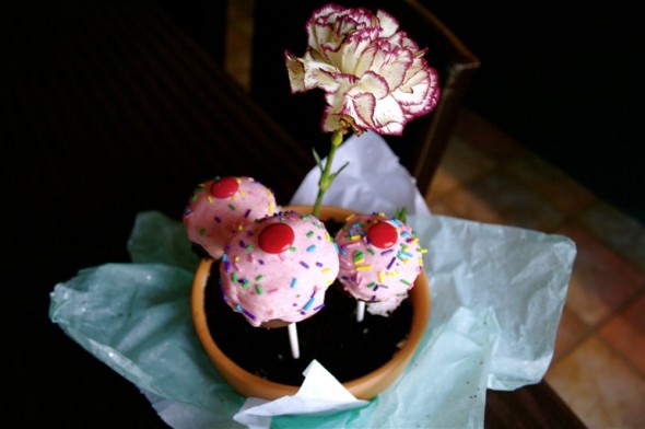 FlowerPotCake2