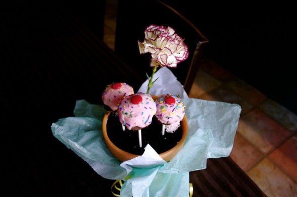 FlowerPotCake