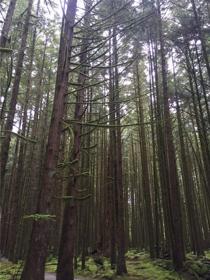 Golden Ears Hike