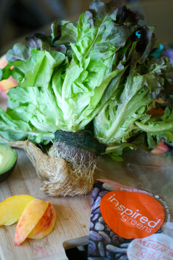 Inspired Greens Living Lettuce | Koko's Kitchen